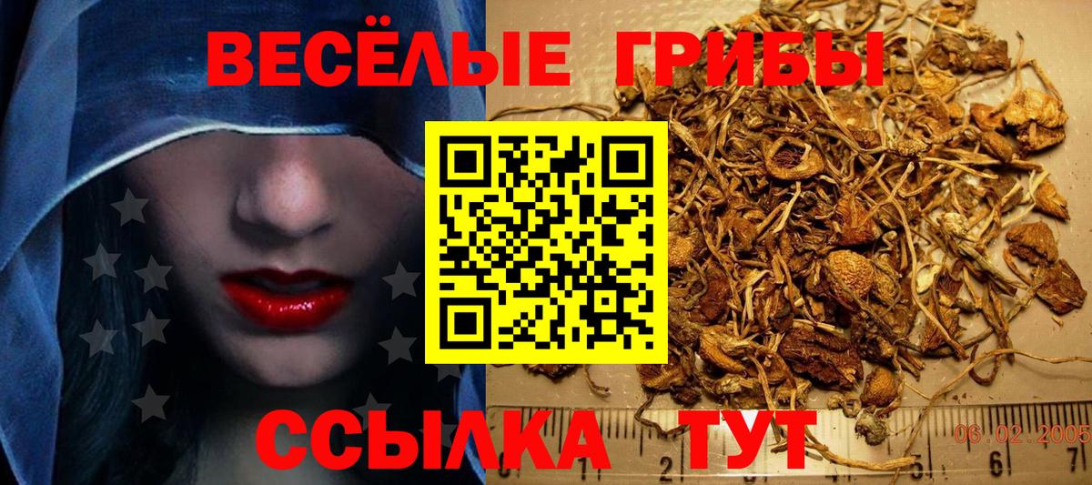 Галлюциногенные грибы ЛСД  Вход с VPN  Галлюциногенные грибы Psilocybine cubensis  где можно купить наркотик  Сокол 